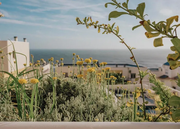 别墅 Antoine 布阿尔库什