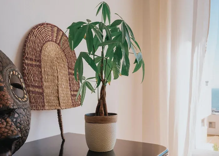 别墅 Antoine 布阿尔库什